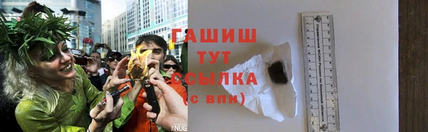 дживик Бородино