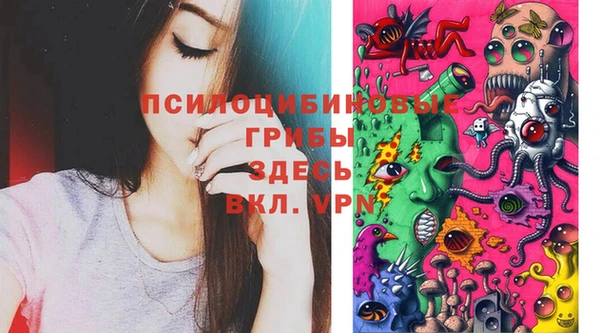 Альфа ПВП Бугульма