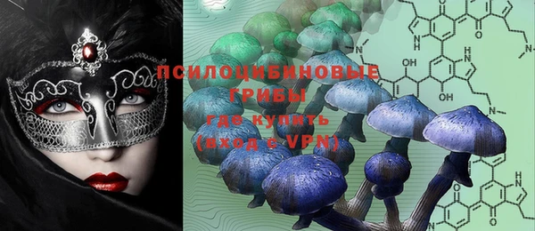 дживик Бородино