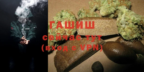 дживик Бородино