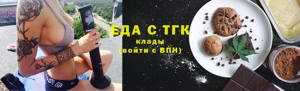 дживик Бородино