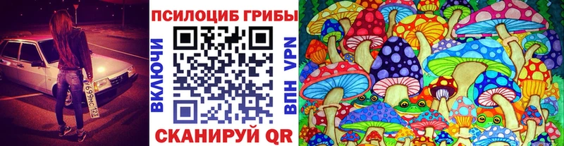 Псилоцибиновые грибы Psilocybe  Купить закладки  Уфа 